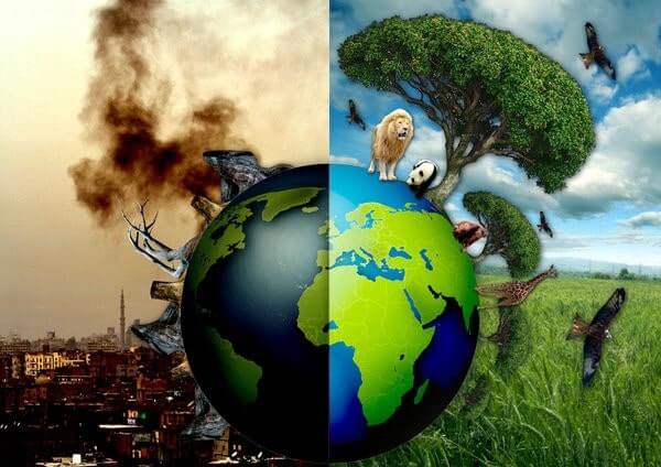 Ô nhiễm môi trường gây tác động xấu đến hệ sinh thái