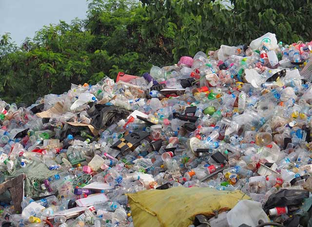 Thịnh Phát – Công ty thu mua phế liệu giá cao